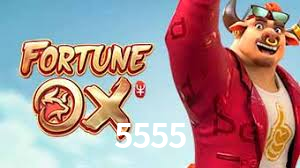 5555.com